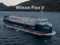 Wilson Flex v