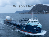 Wilson Flex I