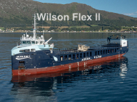 Wilson Flex II