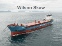 Wilson Skaw