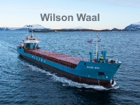 Wilson Waal