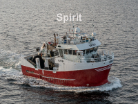 Spirit