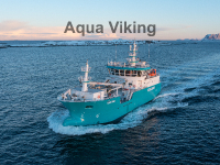 Aqua Viking