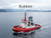 Bukken