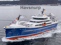 Havsnurp