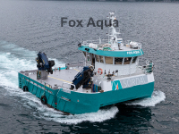 Fox Aqua