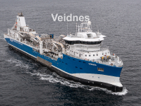 Veidnes