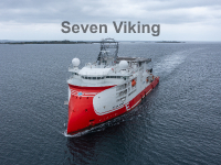 Seven Viking