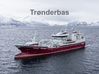 Trønderbas