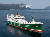 Hargun