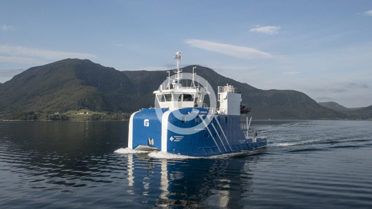 Frøy Leader 597