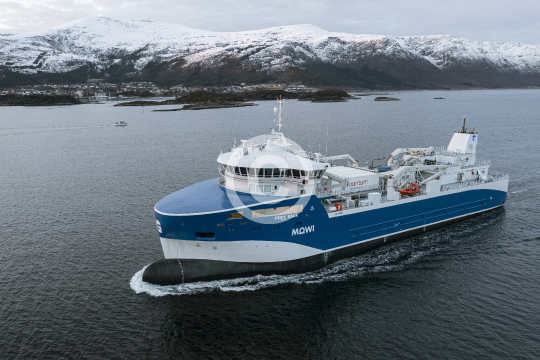 Frøy Saga 549