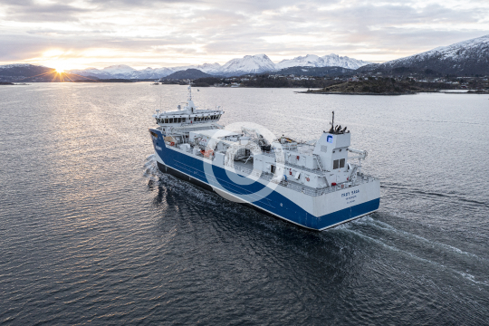 Frøy Saga 551