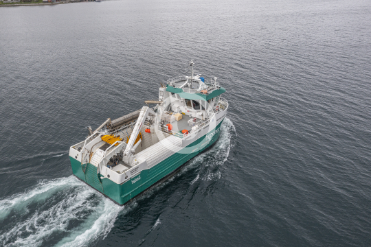 Hypomar Ocean 1 270